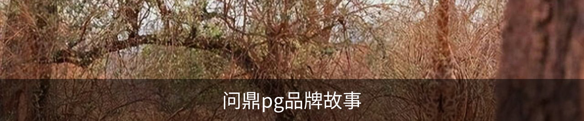 问鼎pg品牌故事